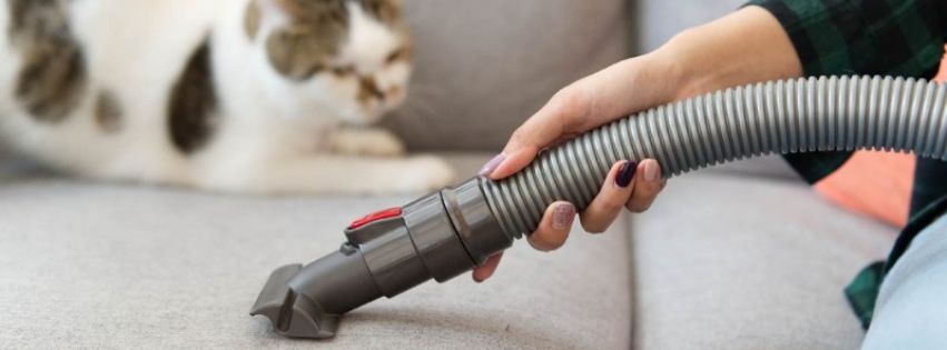 Bond Cleaning with Pets